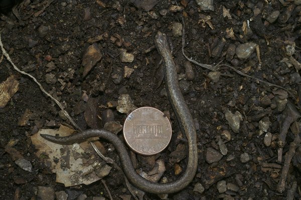 Quelles sont les meilleures méthodes pour comparer les prix des cuisinières en ligne ?